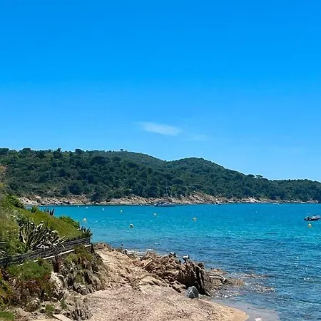 Gigaro 500m